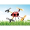 Lady Bug Mini UFO 4ch RTF Micro QuadCopter